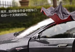 清明時節不怕雨，魔幻傘來襲