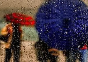 怎么清潔雨傘